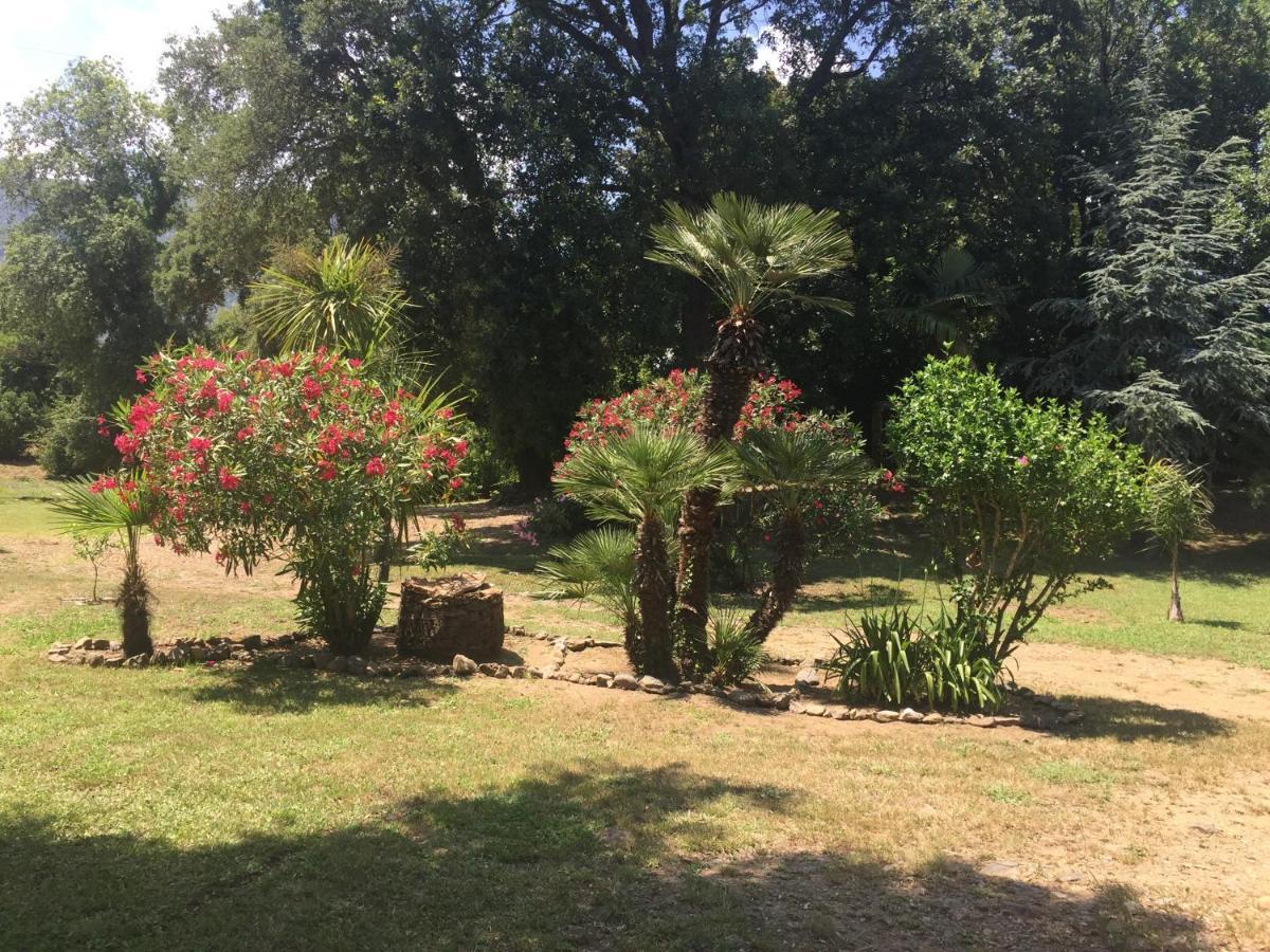 Residence Emilia Santa-Maria-Poggio  ภายนอก รูปภาพ