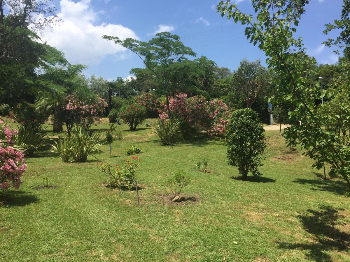 Residence Emilia Santa-Maria-Poggio  ภายนอก รูปภาพ
