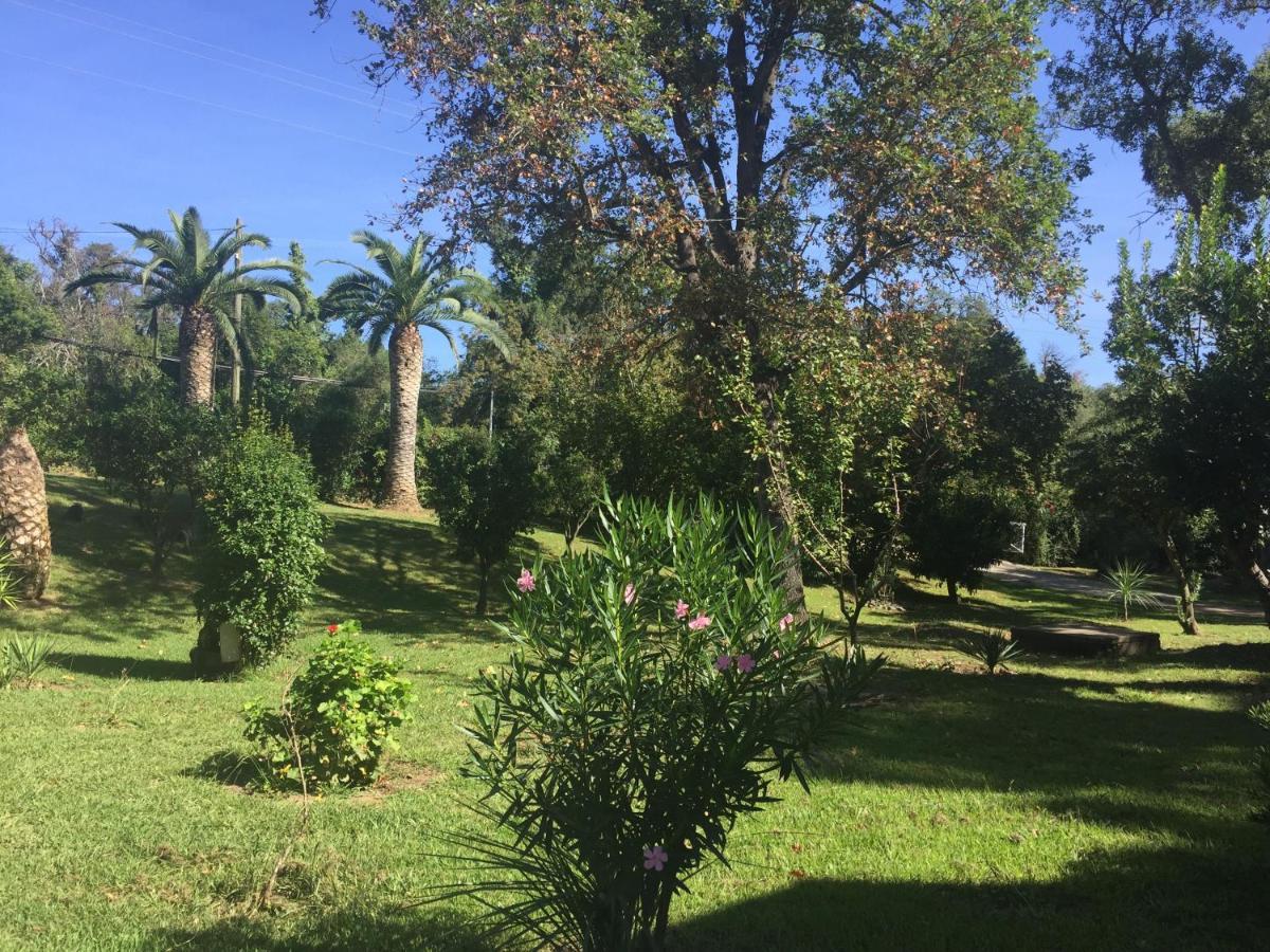 Residence Emilia Santa-Maria-Poggio  ภายนอก รูปภาพ