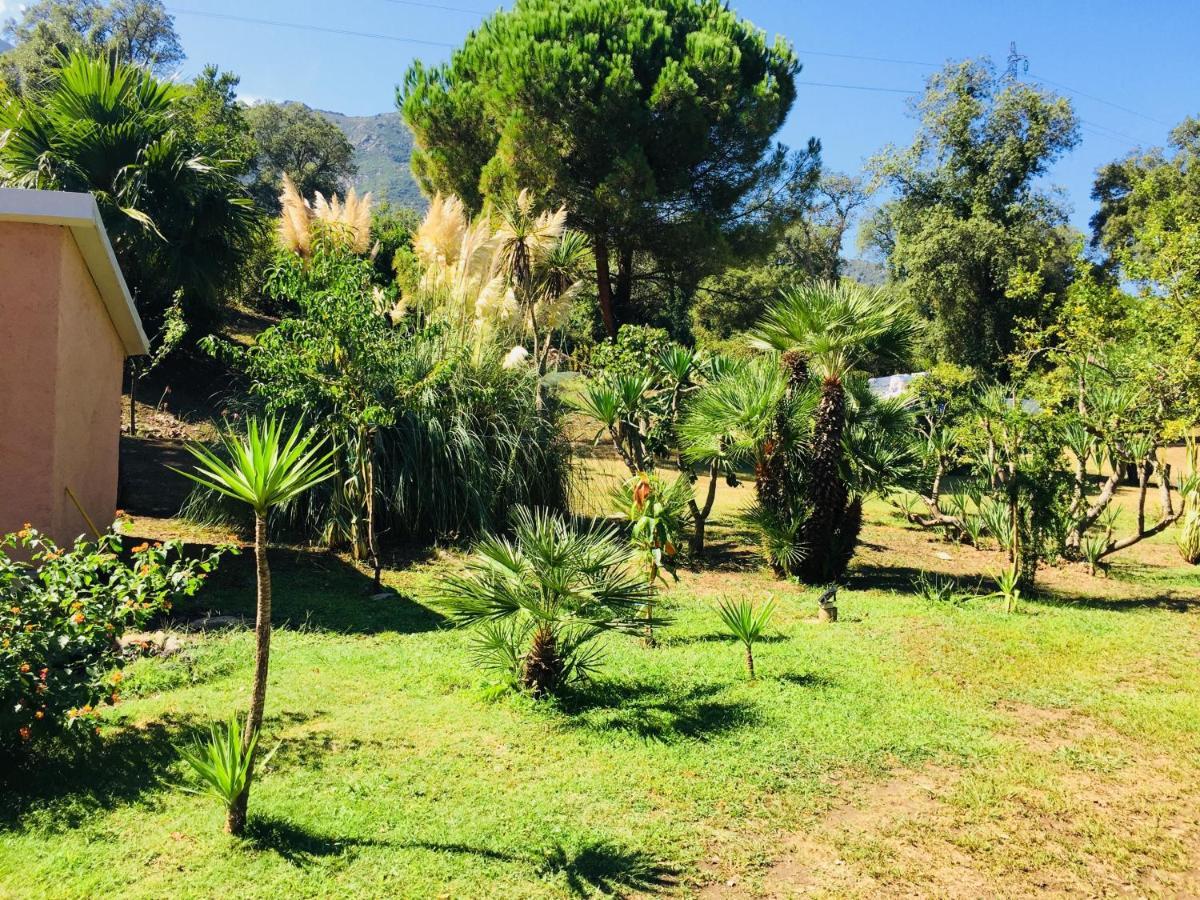 Residence Emilia Santa-Maria-Poggio  ภายนอก รูปภาพ