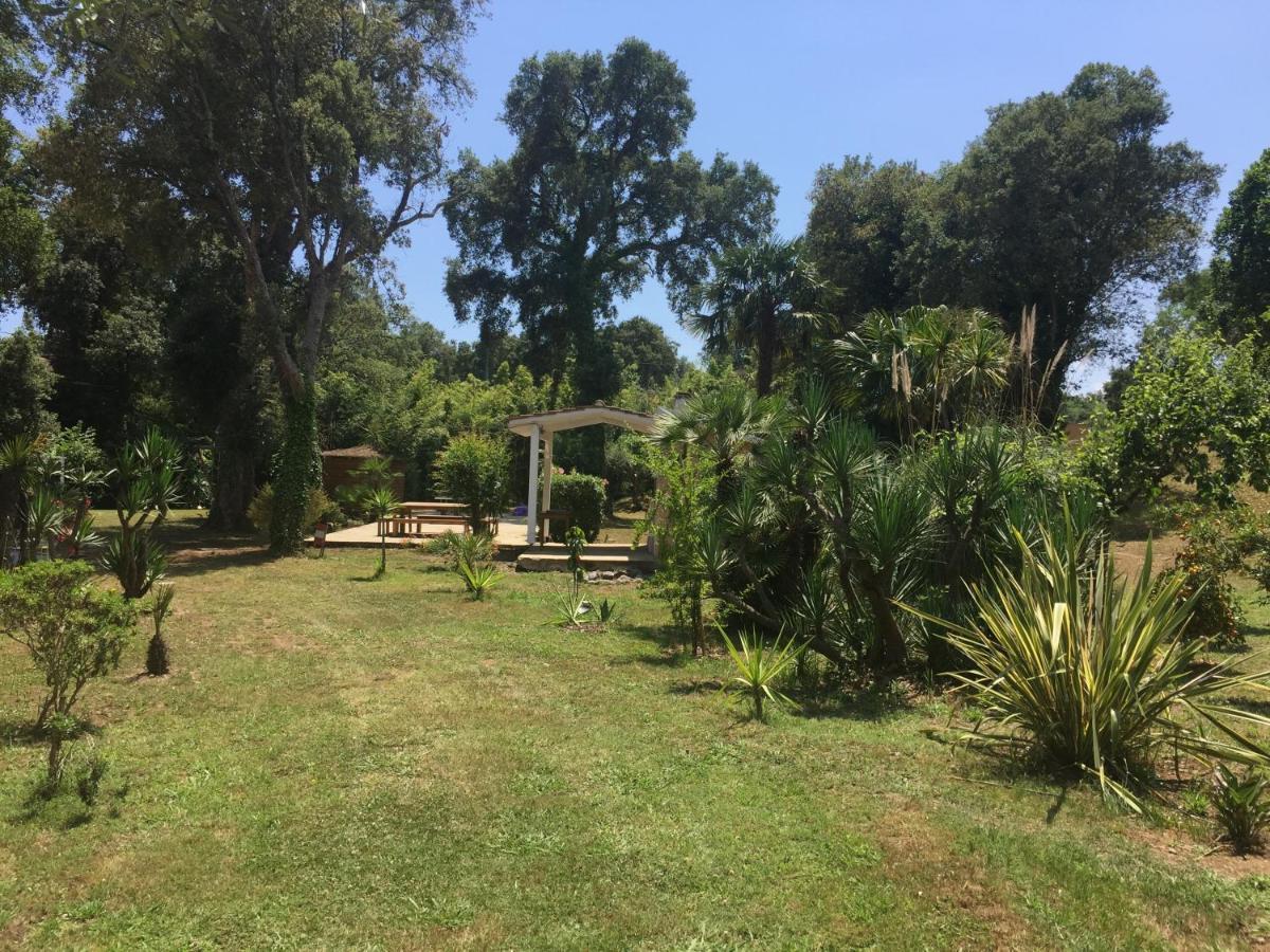 Residence Emilia Santa-Maria-Poggio  ภายนอก รูปภาพ