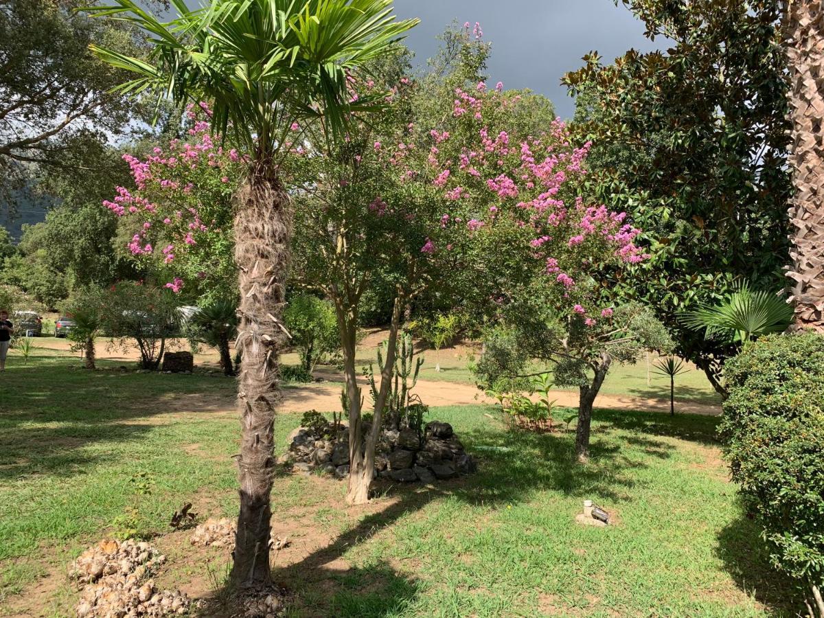 Residence Emilia Santa-Maria-Poggio  ภายนอก รูปภาพ