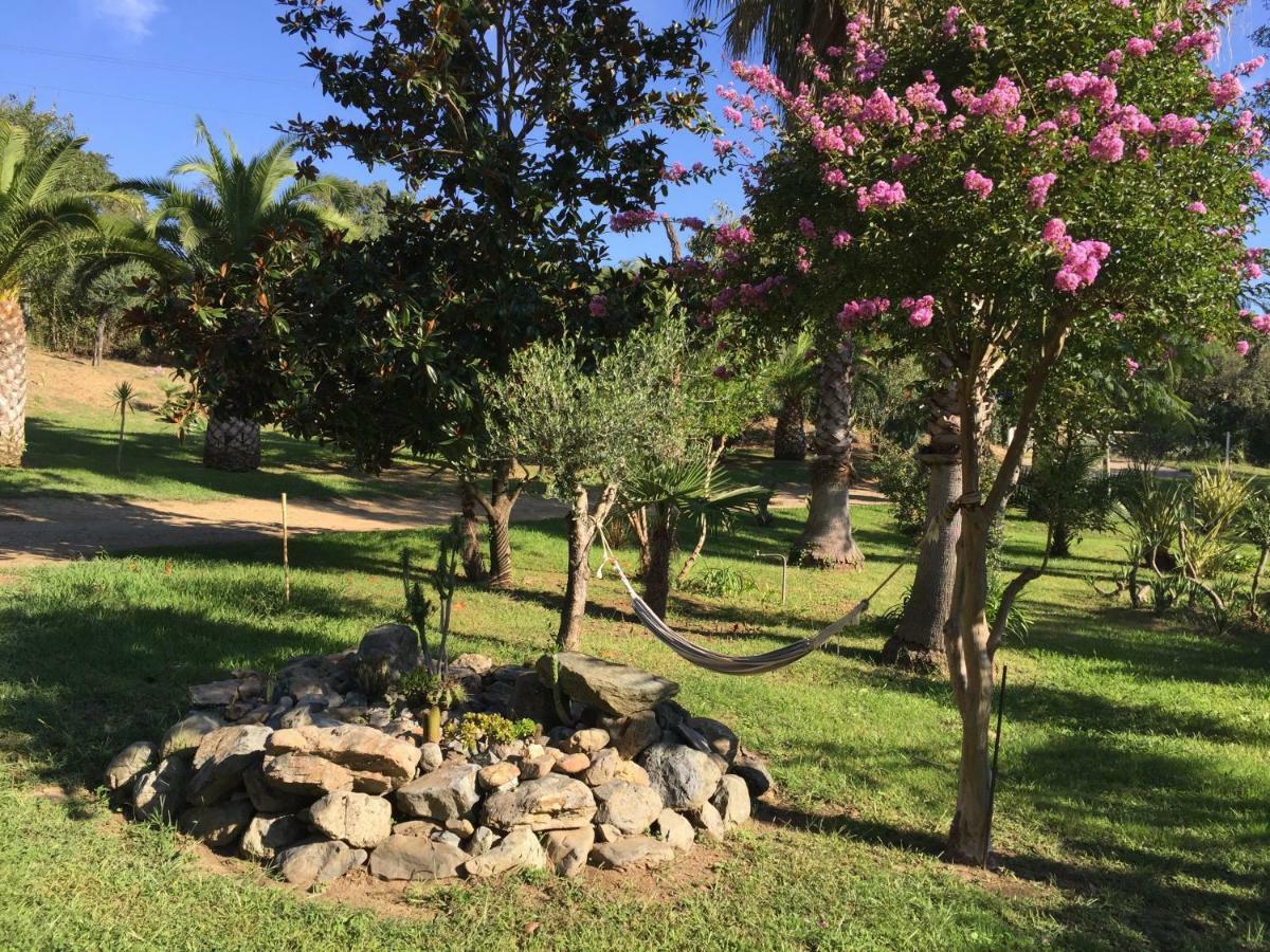 Residence Emilia Santa-Maria-Poggio  ภายนอก รูปภาพ
