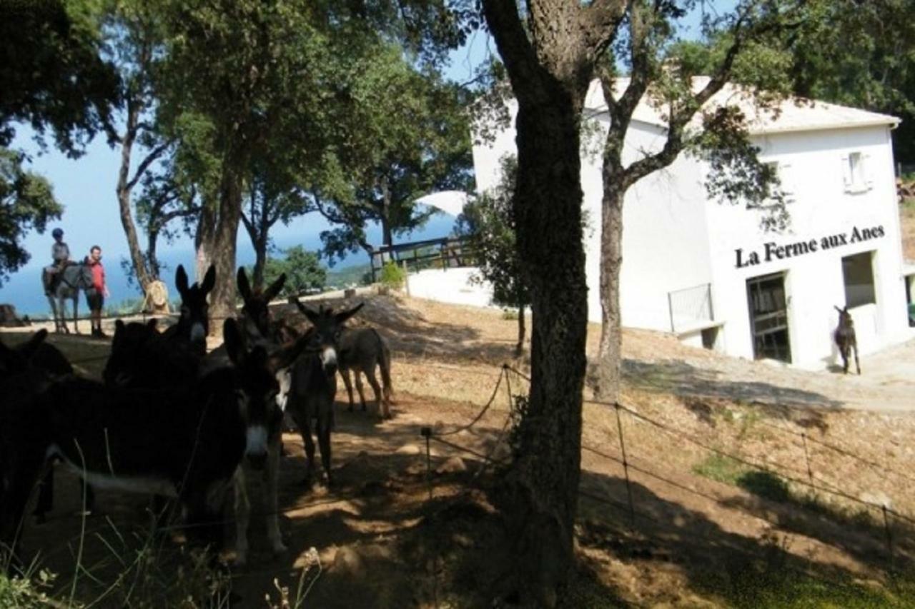 Residence Emilia Santa-Maria-Poggio  ภายนอก รูปภาพ